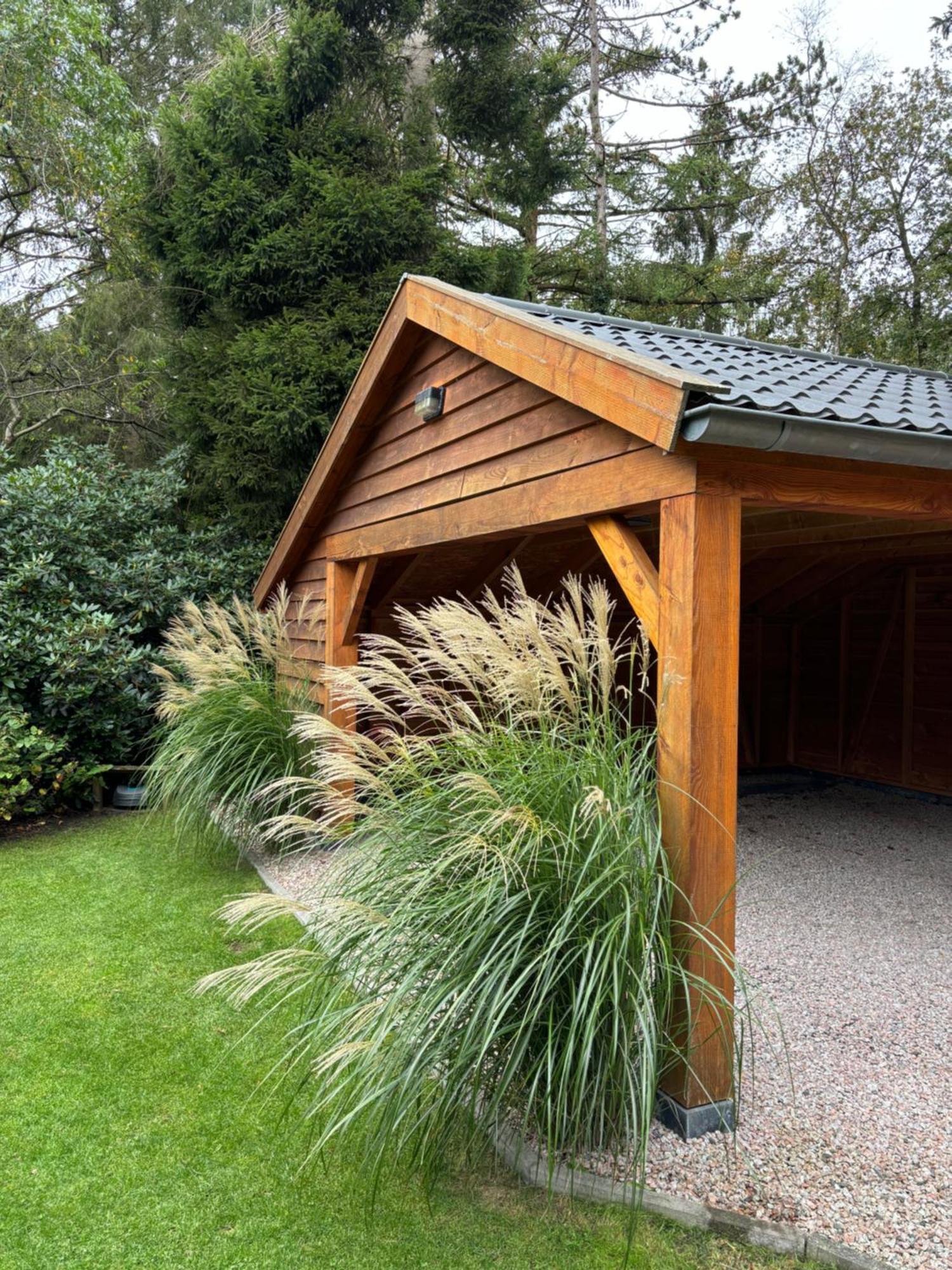 'T Holten Huus - Puur Genieten In Het Bos. Norg Exterior foto